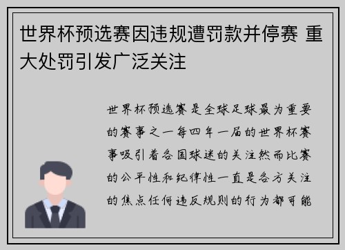 世界杯预选赛因违规遭罚款并停赛 重大处罚引发广泛关注